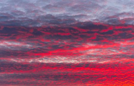 Colorful dramatic clouds lit by a sun against the sunset or sunrise sky. cloudscape.