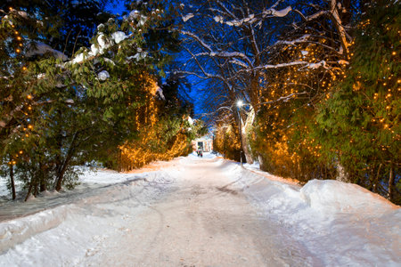 Winter park at night with christmas decorations, glowing lanterns, pavement covered with snow and...
