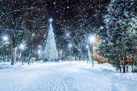 Snowfall in a winter park at night with christmas decorations, glowing lanterns, pavement covered with snow and trees.の写真素材