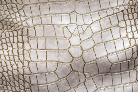 White crocodile or aligator leather texture. Abstract hide background for design.