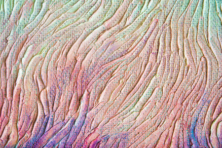 Colorful abstract oil painting background. Texture of canvas and oil paint.