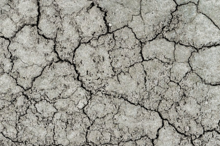 Texture of gray dry cracked earth. The concept of drought, global warming and climate change.