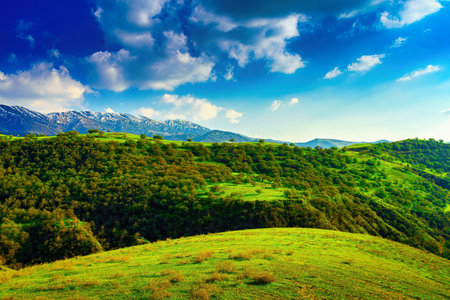 Hills and mountains covered with young green grass and illuminated by the sun on a sunny summer day. mountain landscape.の写真素材