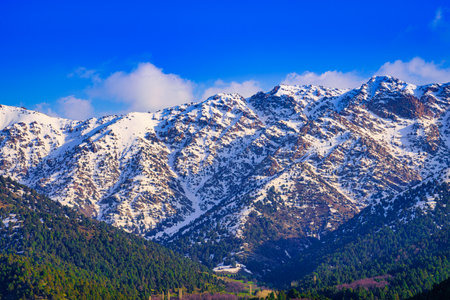 Mountain top covered with young snow and illuminated by the sun on a sunny spring day. mountain...