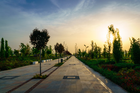 City park in early summer or spring with pavement, lanterns, young green lawn, trees and dramatic cloudy sky on a sunset or sunrise. landscape.の写真素材