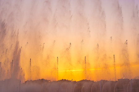 Big fountains on the artificial pond, illuminated by sunlight at sunset in Tashkent city park at summertime evening.の写真素材