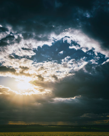 The sun breaking through storm clouds in a flowering rapeseed field. Changing weather. Aesthetics of...