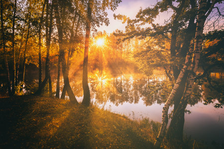 Dawn on a lake or river with a dramatic cloudy sky reflected in the water, birch trees on the shore and the sunbeams breaking through them and fog in autumn. Aesthetics of vintage film.の写真素材