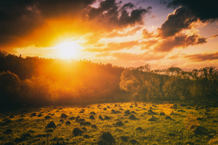 Sunset or sunrise in a spring field with green grass, willow trees and cloudy sky. Sunbeams making their way through the clouds. landscape. vintage film aesthetic.の写真素材