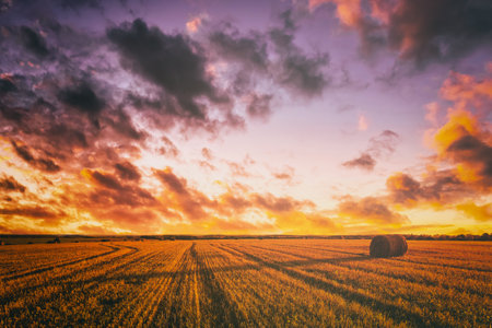 Sunset on the field with haystacks in Autumn season. Rural landscape with cloudy sky background in a sunny evening. Golden harvest of wheat. vintage film aesthetic.の写真素材