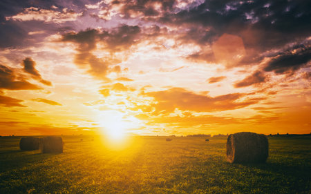 Sunset or sunrise in a field with haystacks on a summer or early autumn evening with a cloudy sky in the background. Procurement of animal feed in agriculture. landscape. vintage film aesthetic.の写真素材