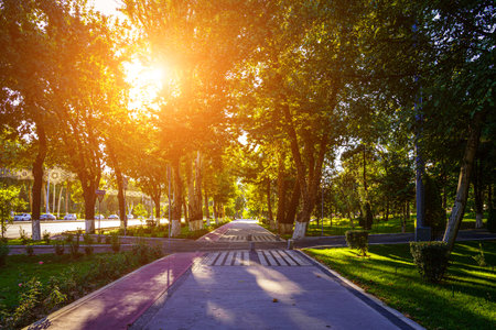 City park in summer or spring with pavement, green lawn and trees on a sunset or sunrise in Tashkent, Uzbekistan. landscape.の写真素材