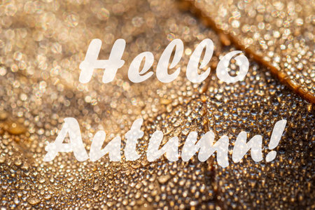 The words Hello Autumn on the background of autumn fallen leaf with dew drops. Greeting card. The concept of the beginning of autumn season.の写真素材