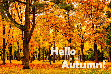 The words Hello Autumn on the background of autumnal city park with trees with golden leaves. Greeting card. The concept of the beginning of autumn season.の写真素材