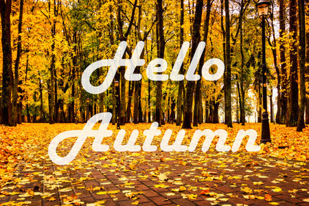 The words Hello Autumn on the background of autumnal city park with trees with golden leaves. Greeting card. The concept of the beginning of autumn season.の写真素材