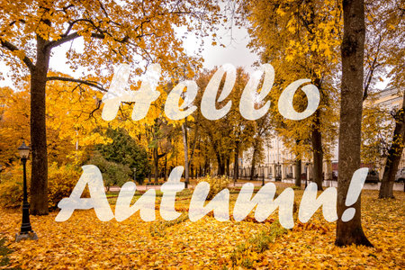 The words Hello Autumn on the background of autumn park lit by sun in golden autumn season. greeting card. The concept of the beginning of autumn season.の写真素材