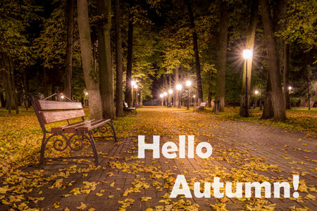 The words Hello Autumn on the background of night city park with fallen leaves and trees. Greeting card. The concept of the beginning of autumn season.の写真素材