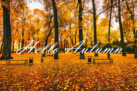 The words Hello Autumn on the background of autumnal city park with trees with golden leaves. Greeting card. The concept of the beginning of autumn season.の写真素材
