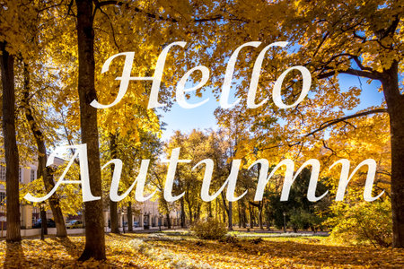 The words Hello Autumn on the background of autumn park lit by sun in golden autumn season. greeting card. The concept of the beginning of autumn season.の写真素材