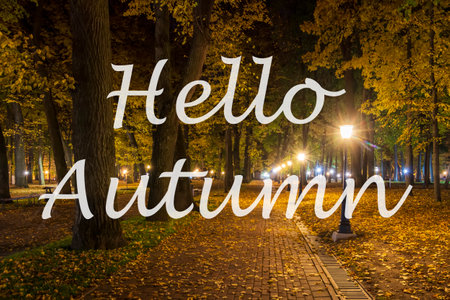 The words Hello Autumn on the background of night city park with fallen leaves and trees. Greeting...