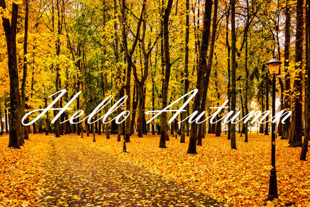 The words Hello Autumn on the background of autumnal city park with trees with golden leaves. Greeting card. The concept of the beginning of autumn season.の写真素材
