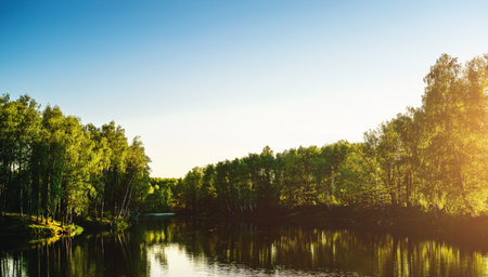 Sunrise or sunset near the pond with birches on a sunny summer day. Landscape. Vintage film aesthetic.の写真素材