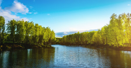 Sunrise or sunset on a pond with birch trees growing along the banks and the sky reflected in the water in early summer. Vintage film aesthetic.の写真素材