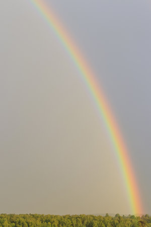 Rainbow against sunset sky. Natural abstract background. Weather after rain.の写真素材