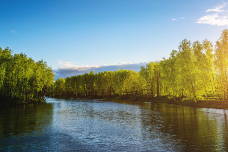 Sunrise or sunset on a pond with birch trees growing along the banks and the sky reflected in the water in early summer. Vintage film aesthetic.の写真素材