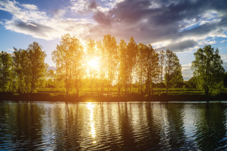 Sunrise or sunset on a pond with birch trees growing along the banks and the sky reflected in the water in early summer. Vintage film aesthetic.の写真素材