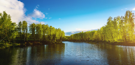 Sunrise or sunset on a pond with birch trees growing along the banks and the sky reflected in the water in early summer. Vintage film aesthetic.の写真素材