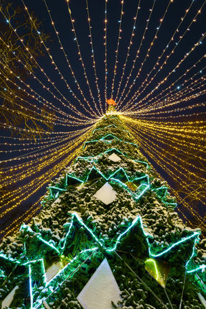 Artificial Christmas tree in garlands at night park. Xmas decorations and lights.の写真素材