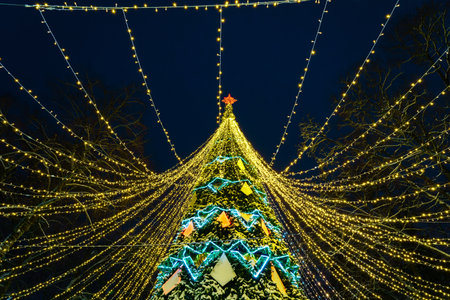 Artificial Christmas tree in garlands at night park. Xmas decorations and lights.の写真素材