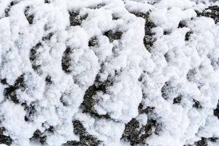 Snow-covered textured surface with intricate details, natural tones, and bright white background, highlighting winter nature.の写真素材