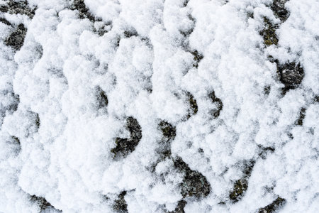 Snow-covered textured surface with intricate details, natural tones, and bright white background, highlighting winter nature.の写真素材