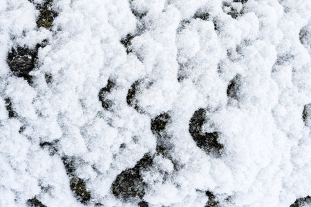 Snow-covered textured surface with intricate details, natural tones, and bright white background, highlighting winter nature.の写真素材