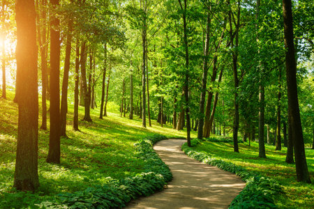 A dirt path through a park with lush green trees during the daytime in springtime.の写真素材
