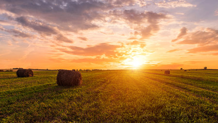 Scenic of sunset over hay bales in a field. Golden light bathes the landscape, creating a tranquil scene. For agriculture, travel and inspiring greeting card designs.の写真素材