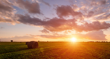 Scenic of sunset over hay bales in a field. Golden light bathes the landscape, creating a tranquil scene. For agriculture, travel and inspiring greeting card designs.の写真素材