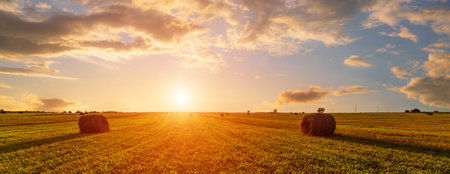 Golden sunset rolling field with hay bales. Panoramic farm landscape for agriculture and harvest season. Scenic countryside background. Rural summer nature concept.の写真素材