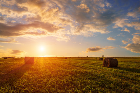 Scenic of sunset over hay bales in a field. Golden light bathes the landscape, creating a tranquil scene. For agriculture, travel and inspiring greeting card designs.の写真素材
