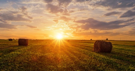 Golden sunset rolling field with hay bales. Panoramic farm landscape for agriculture and harvest season. Scenic countryside background. Rural summer nature concept.の写真素材