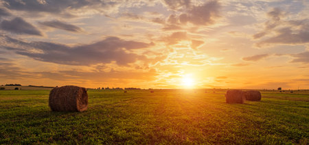 Golden sunset rolling field with hay bales. Panoramic farm landscape for agriculture and harvest season. Scenic countryside background. Rural summer nature concept.の写真素材