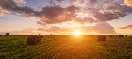 Golden sunset rolling field with hay bales. Panoramic farm landscape for agriculture and harvest season. Scenic countryside background. Rural summer nature concept.の写真素材