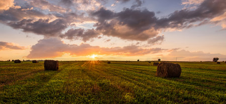 Golden sunset rolling field with hay bales. Panoramic farm landscape for agriculture and harvest season. Scenic countryside background. Rural summer nature concept.の写真素材