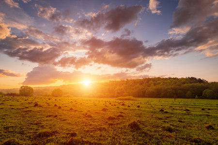 Peaceful meadow landscape with golden sunset creates serene mood. Idyllic rural scene for posters, calendars, nature themes and backgrounds. Rural landscape.の写真素材