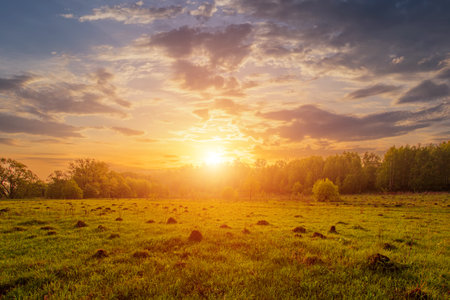 Peaceful meadow landscape with golden sunset creates serene mood. Idyllic rural scene for posters, calendars, nature themes and backgrounds. Rural landscape.の写真素材