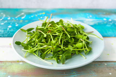 Fresh green sunflower microgreens on a blue plate on a table. Healthy sprout plant ingredient for vegan and vegetarian nutrition food. Top view of edible seedling.の写真素材