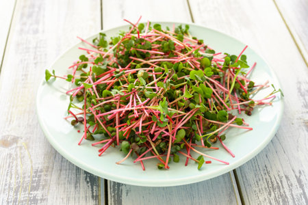 Fresh red radish microgreens on a white plate on a table. Healthy sprout plant ingredient for vegan and vegetarian nutrition food. Top view of edible seedling.の写真素材