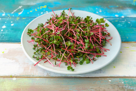 Fresh red radish microgreens on a white plate on a table. Healthy sprout plant ingredient for vegan and vegetarian nutrition food. Top view of edible seedling.の写真素材